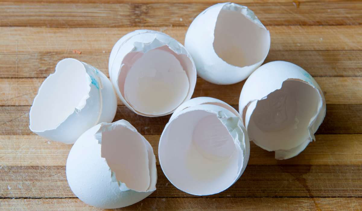 Read more about the article A Tojáshéj Felhasználása: Soha Többé Nem Dobod Ki Ha Ismered Ezt a Trükköt