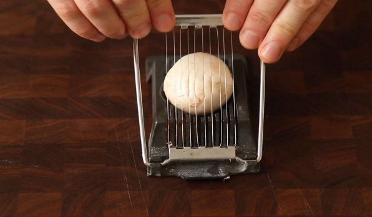 Read more about the article Egy Remek Ötlet: Gomba a Tojásszeletetőben