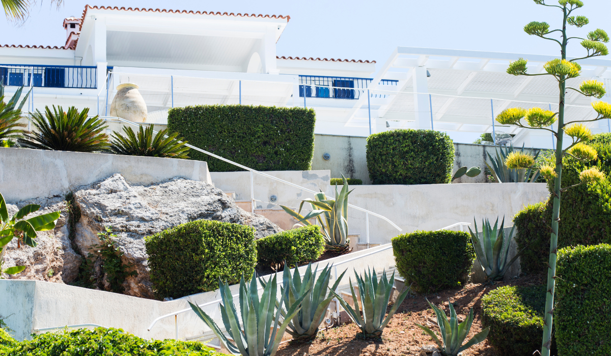 Read more about the article Mediterrán kert növények és ötletek az építéshez